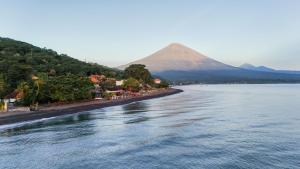 Salty Breeze Amed