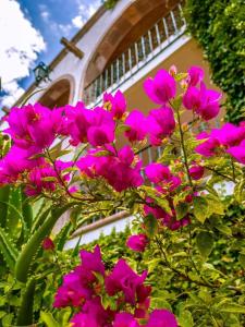 hotel la ermita suites