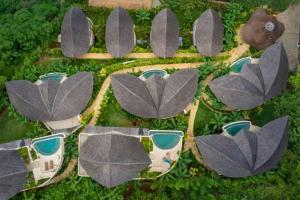 Evora Lush Garden 2 BR Private Pool Villa