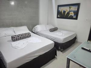 Apartaestudios Nabusimake lady