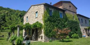 Panoramic Villa Among Vineyards In Orvieto