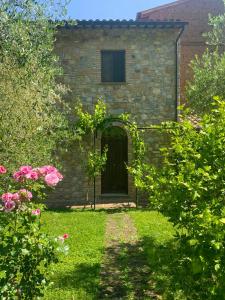 Panoramic Villa Among Vineyards In Orvieto