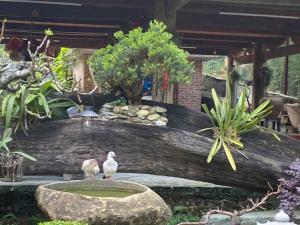 HomeStay Pickle ball