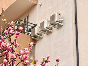 Central Premium Apartment