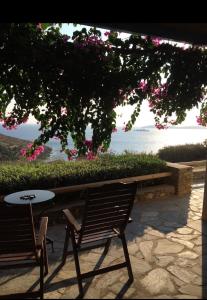 Vila Cleopatra Andros Greece