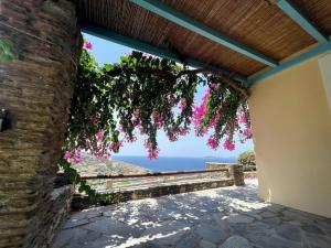 Vila Cleopatra Andros Greece