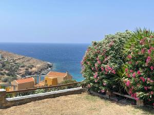 Vila Cleopatra Andros Greece