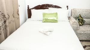 Silver Nest