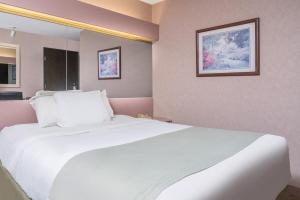Queen Room - Non-Smoking room in Microtel Inn La Crosse Onalaska Area