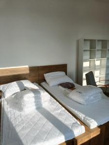 Apartmán Procyon