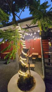 Dreamers Lounge