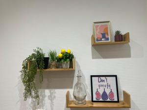 Newly renovated Aparment - Central - Pets Welcome