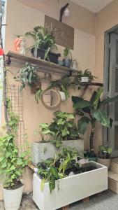 Khoi Hostel