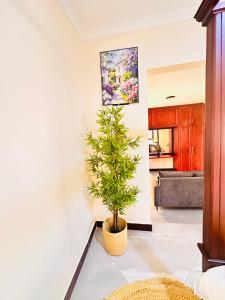 Easyhomes bungalow apartment