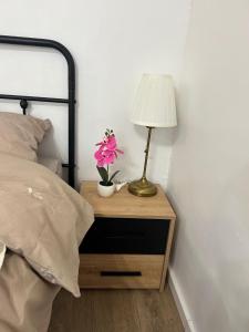 Studio Central Premium