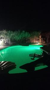 Quiet villa with pool