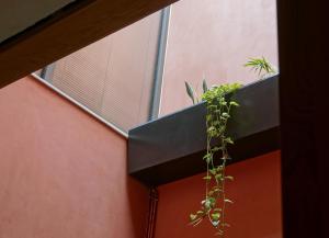 Santa Clara Luxury Living