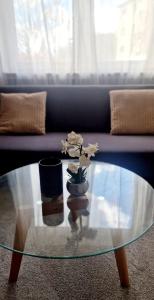 Cozy and beautiful flat in the centrum