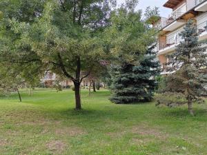 Mediterrán Apartman Cserkeszőlő