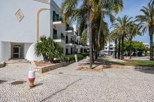 Tavira PALM TREE by east ALgarve guest