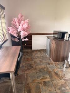 The Circulation Guest House