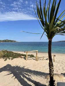 Labri Côtier on St Cyprien beach