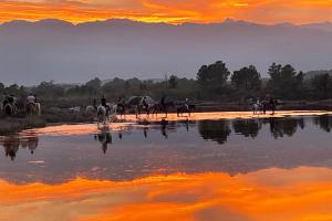 Labri Côtier on St Cyprien beach
