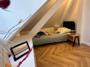 Żywieckie Apartamenty - Apartament Bauhaus, Balia w cenie! Zwierzęta za darmo!