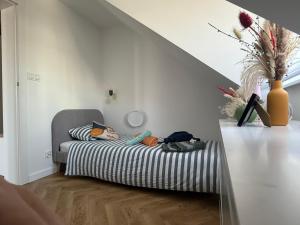 Żywieckie Apartamenty - Apartament Bauhaus, Balia w cenie! Zwierzęta za darmo!