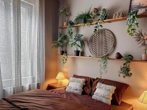 Expérience Balinaise à Amiens