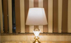 Hotel Viva Palace By OPO,Free Airport Pick up & Drop