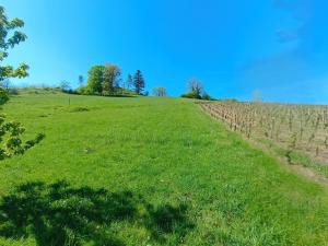 Ti caz prairie