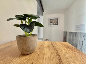 Soft House - Palermo central