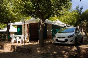 Camping Internacional Palamós