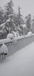 Deodar hill top home stay chail