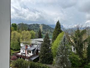 Villa Plemelj