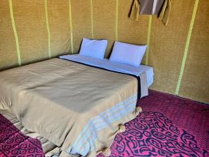 Sahara Standard Camp