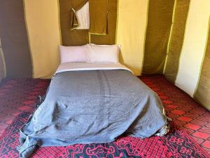 Sahara Standard Camp
