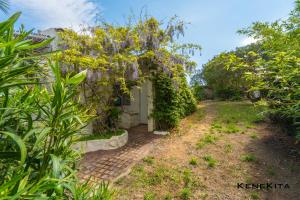 Miramare House img23