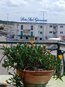 La terrazza sul mare di Gallipoli
