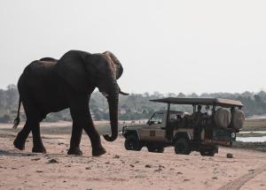 Chobe House Villa and Chalets
