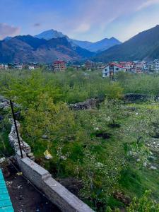 The Serene Walk - Manali