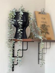 Sunny Gym Studio Apartment