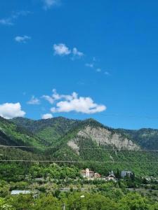 Apartments With Balcony And Mountain View