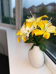 Modern 3BR Haven for Monthly Stays