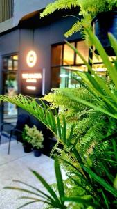 The SACHA Apart-Hotel Thonglor Sukhumvit Bangkok