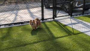 小型犬OK天然温泉 サウナ 屋内BBQ 那須の貸切別荘 最大10名 巨大プロジェクター完備 駐車3台Rooms Base Nasu