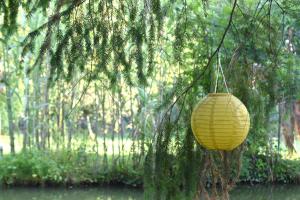 B&B / Chambres d'hotes La mare aux canards : photos des chambres