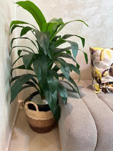 Modern and cozy apartment in the heart of Kenitra