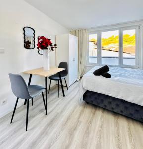 2BR Apt & LR with Terrace, Close to Museum Gugging